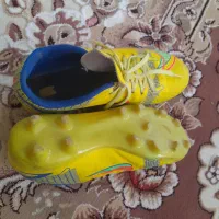 کفش میخی|کیف، کفش، کمربند|برخوار, |دیوار