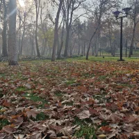 ویلایی-دوکله-مناسب-برای-سکونت-وساخت-فلاحی