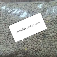 فروش حبوبات زیرقیمت بازار|خوردنی و آشامیدنی|پاکدشت, پاکدشت (مامازند)|دیوار