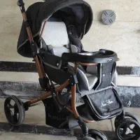 کالسکه دلیجان مدل بنیتا پرو بدنه طلایی