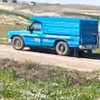 حمل سیر