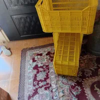 سبد فروشی رودان آبنما|ظروف نگهدارنده، پلاستیکی، یک‌بارمصرف|رودان, |دیوار