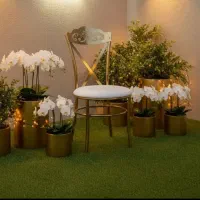 طرح تعویض صندلی تالار  کهنه با نو