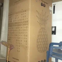 کارتن یخچال ساید پاکشوما