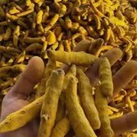 زردچوبه خام