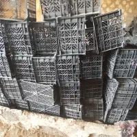 سبد تعداد بالا