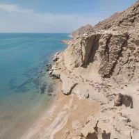 فیش حج واجب