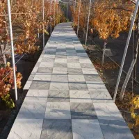 ملک-کلنگی-سعدی-8