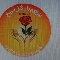 استخدام مراقب سالمند و کودک