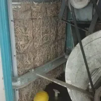 کولرآبی|کولر آبی|قم, مسجد امام حسن|دیوار