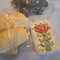 دستیار خانم در منزل