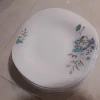 ظروف آرکوپال فرانسه گل سرخی و قابلمه های کارکرده|ظروف سرو و پذیرایی|تهران, گرگان|دیوار