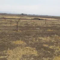 ۱۲۵۰ متر زمین چسب طرح هادی سیاه بید علیا|فروش زمین و ملک کلنگی|کرمانشاه, |دیوار