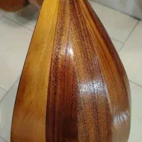 دوتار دنبوره دمبوره افغانستان|سازهای سنتی|اصفهان, بهارستان|دیوار