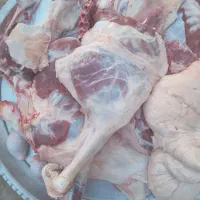 کشتار انواع گوسفند