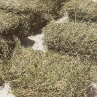 یونجه بسته بندی و باز