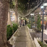 نیروی ساده ، سالنکار ، پارکبان