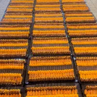 همکار خانم کارگاه تولیدی شیرینی|استخدام خدمات فروشگاه و رستوران|اصفهان, لاله|دیوار