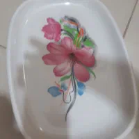 دیس ملامین نو|ظروف سرو و پذیرایی|شیراز, اصلاح‌نژاد|دیوار