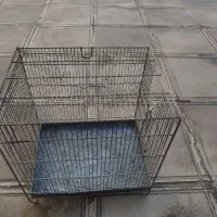 دوتا قفس غلامی، جفت تل|لوازم جانبی حیوانات|ایلام, |دیوار