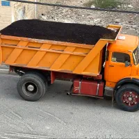 کودحیوانی گاوی