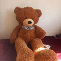 خرس دو متری