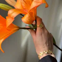 ست مشابه طلا ونکلیف