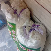 پنبه|رختخواب، بالش، پتو|سرپل ذهاب, |دیوار