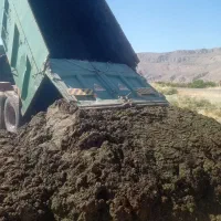 کود گاو گاوی گوسفندی درجه یک