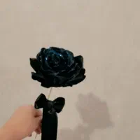 گل روبانی تک 30 تا گلبرگ