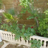 باغ ۵۰۰ متری کهرسنگ خ پژوهش|فروش دفتر صنعتی، کشاورزی، تجاری|نجف‌آباد, کهریزسنگ|دیوار