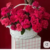 سفارش باکس و دسته گل تازه و شیک|گل و گیاه طبیعی|تهران, پاسداران|دیوار