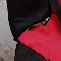 کالسکه نوزاد دوقلو