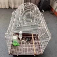 قفس پرنده