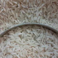 برنج هاشمی استانه اشرفیه