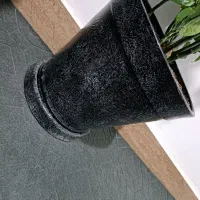 درختچه پرتقال طبیعی|گل و گیاه طبیعی|اسلامآباد غرب, |دیوار