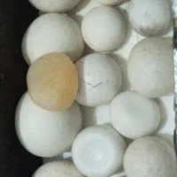 باسلام سنگهای الماس سنگ آسیاب اصلی وسخت وزیبا