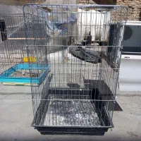 یک  عددقفس  سایز بزرگ