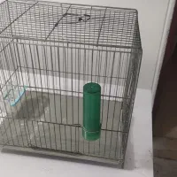 قفس|لوازم جانبی حیوانات|سنندج, |دیوار