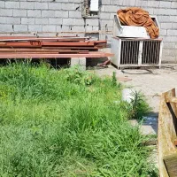 سگ .اسب آگهی بخونید|سگ|خرمآباد (تنکابن), |دیوار