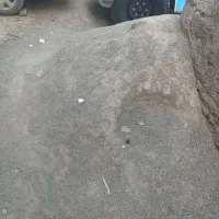 ۶۵میلیون نیازمند