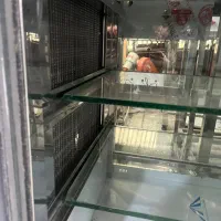 یخچال ویترین کبابی وانت و گاری|یخچال و فریزر|رشت, شهرک آیت الله منتظری|دیوار