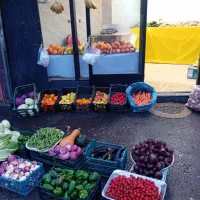 سبزی ومیوه فروشی طراوت