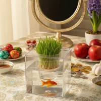 گلدان آکواریومی گلدان شیشه ای سبزه نارنج