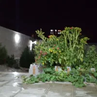 زمین مسکونی