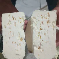 پنیرپرچرب سنتی|خوردنی و آشامیدنی|سراب, |دیوار