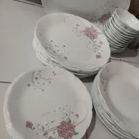 سرویس آرکوپال|ظروف سرو و پذیرایی|رباط‌کریم, رباط‌کریم|دیوار