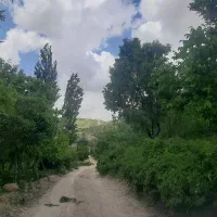 باغ-سپیدان