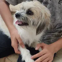 جنیفر و تیاگو...