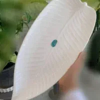 سرو پزیرایی